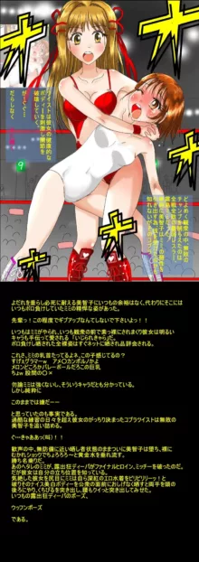 プロレスミッチー365色欲技絵CG集, 日本語