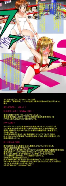 プロレスミッチー365色欲技絵CG集, 日本語