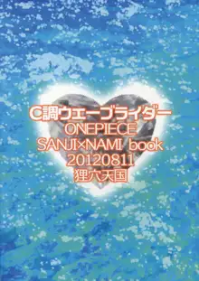 C調ウェーブライダー, 日本語