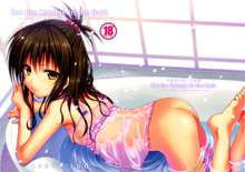 Eat the Orange in the Bath (To LOVE-Ru)  Korean], 한국어