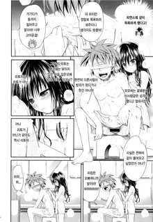 Eat the Orange in the Bath (To LOVE-Ru)  Korean], 한국어