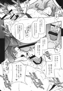 乳乱舞 Vol.09, 日本語