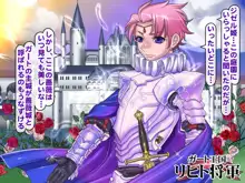 報酬の姫君 princess super slut, 日本語