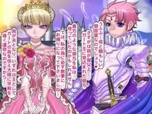 報酬の姫君 princess super slut, 日本語