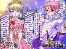 報酬の姫君 princess super slut, 日本語