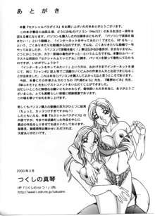 セクシャルパラダイス, 日本語