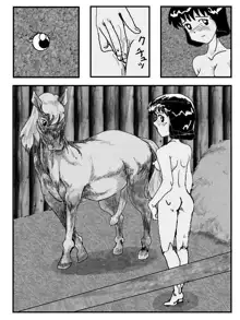 The Stallions and the Girls, 日本語