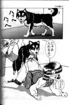 犬が嫌い, 日本語