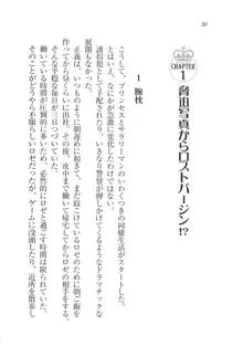 プリンセスは誘拐中♥, 日本語