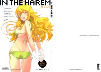 IN THE HAREM A SIDE, 日本語