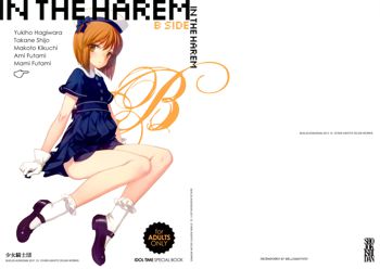 IN THE HAREM B SIDE (decensored), English