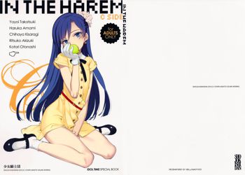 IN THE HAREM C SIDE (decensored), English