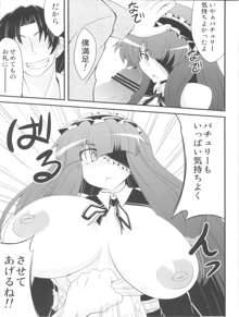 DCG -Host Girl Patchouli-, 日本語