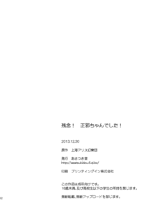 残念! 正邪ちゃんでした!, 日本語