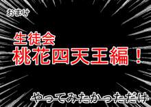 桃花学園高等部編, 日本語