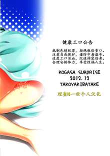 Kogasa Surprise, 中文