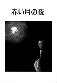 ムーンライトまじっく, 日本語