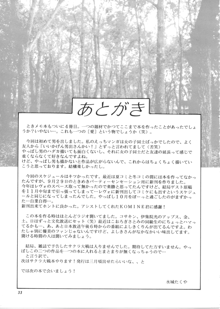 桜咲く中央公園, 日本語