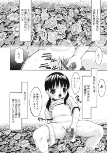 女の子だけの時間割, 日本語