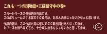 RPGゲームの日常裏, 日本語