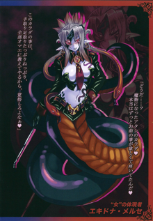 Monster Girl Encyclopedia World Guide I ～堕落の乙女達～ -Fallen Maidens-, 日本語