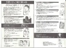 アリスのでんちばくだん Vol.19, 日本語