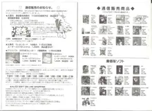 アリスのでんちばくだん Vol.19, 日本語