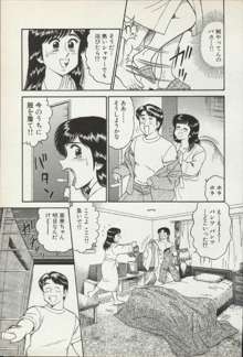 秘密のアリス 1, 日本語