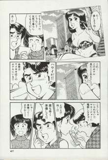 秘密のアリス 2, 日本語