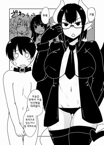 Succubus Gakuen, Class no Petto., 한국어