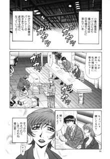 キャスター 夏目玲子の誘惑 Vol.1, 日本語