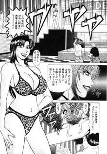 キャスター 夏目玲子の誘惑 Vol.3, 日本語