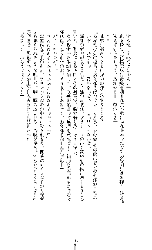 白百合の剣士Ⅱ ～被虐の姫君ブリジット～, 日本語