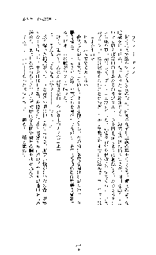 白百合の剣士Ⅱ ～被虐の姫君ブリジット～, 日本語