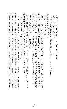 白百合の剣士Ⅱ ～被虐の姫君ブリジット～, 日本語