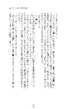 白百合の剣士Ⅱ ～被虐の姫君ブリジット～, 日本語