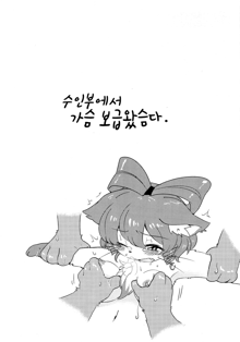 Neko kan, 한국어