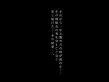 媚薬中毒JK性奴会長～会長は副会長の雌奴隷～, 日本語