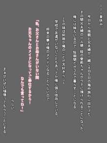 性欲処理メイドの妹と、無防備で無知な姪, 日本語