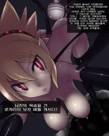 Disgaea, 한국어