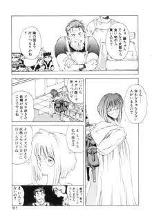 History 2 - Story Of The Forest Fairy 2, 日本語