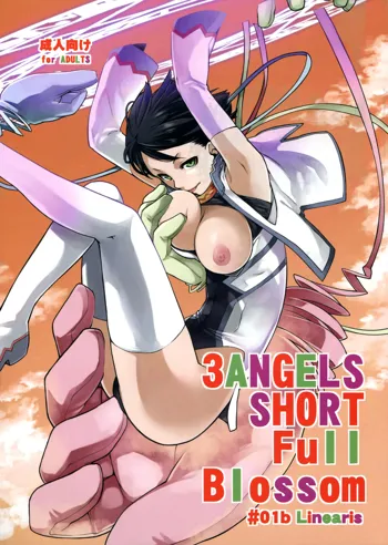 3ANGELS SHORT Full Blossom #01b Linearis, 日本語