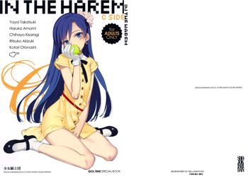 IN THE HAREM C SIDE (decensored), 中文