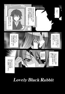 LovelyBlackRabbitS, 日本語