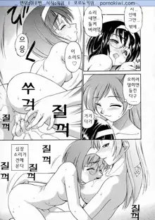 Oshiete Onee-san, 한국어