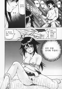 Petit-Roid 3 1 | Petit-로이드 3 1, 한국어