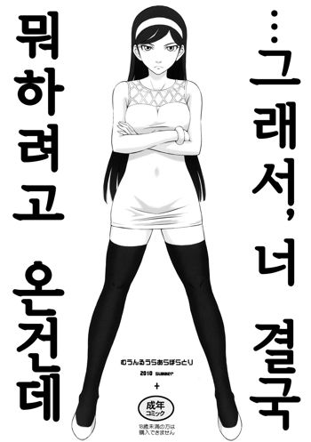 …de, Anta Kekkyoku Nani Shini Kita no yo, 한국어