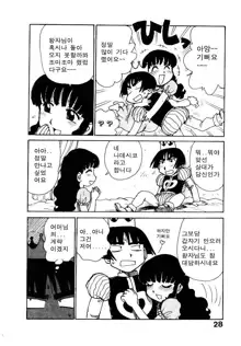 Hitoduma Hime 2, 한국어