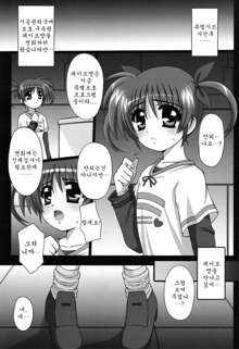 Nano Hana! ver.Q -scene of NANOHA-, 한국어