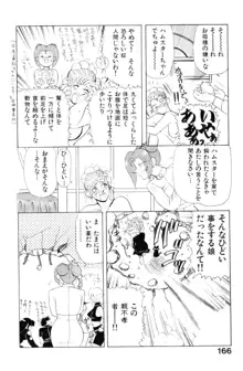 すきすき! 魔女教師, 日本語